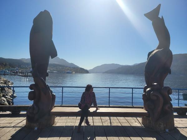 Zargarian Litigation | Nanaimo