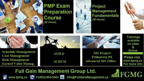 Full Gain Management Group