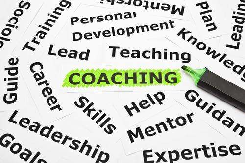 Peak Performance Consulting