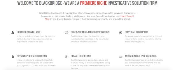 Blackbridge Private Investigator