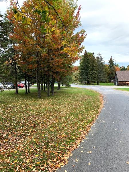 Migrate2mapleland Immigration and Visa Services