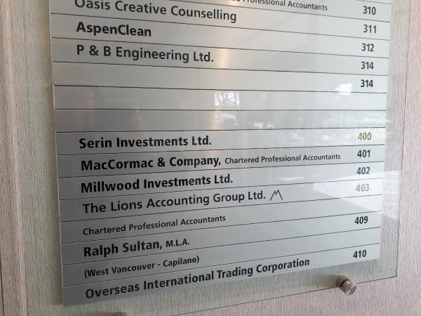 The Lions Accounting Group