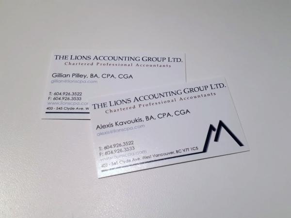 The Lions Accounting Group