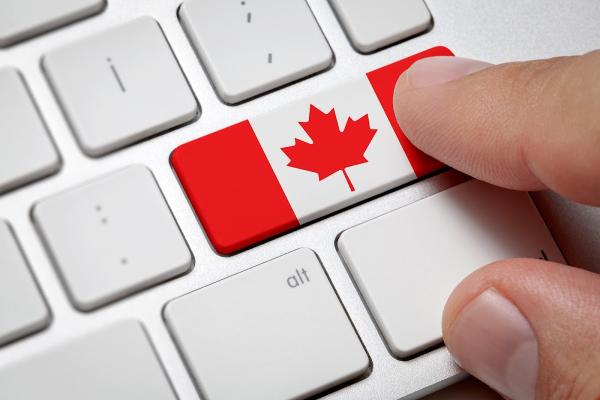 Mozirski Immigration Consulting