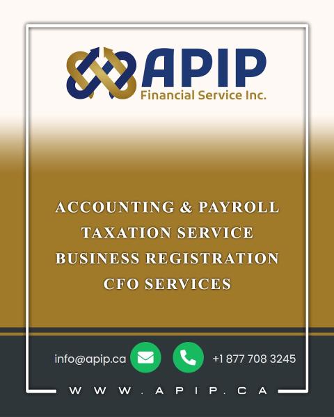 Apip Financial Service