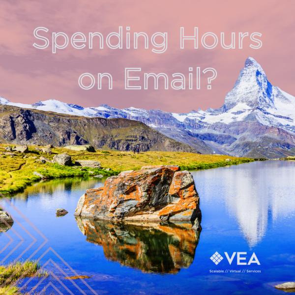 VEA Office Professionals