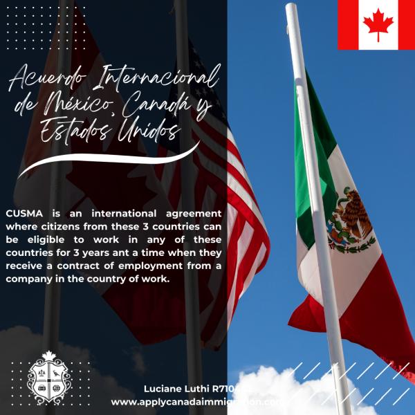Luciane Immigration Consulting