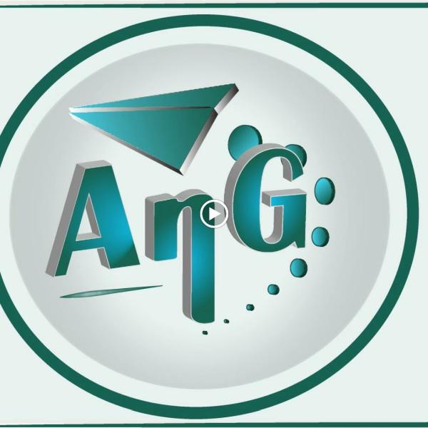 ANG Immigration Services INC