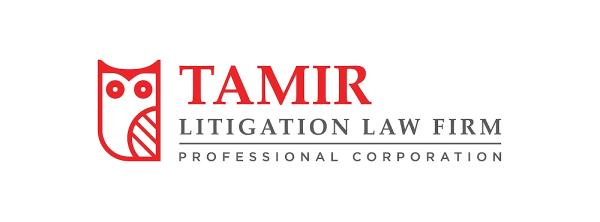 Tamir Litigation Law Firm Professional Corp