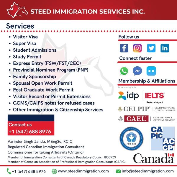 Steed Immigration Services