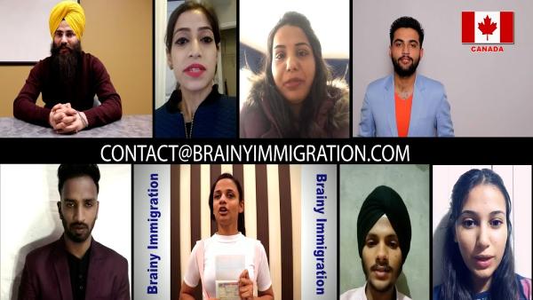 Brainy Immigration and Employment Services