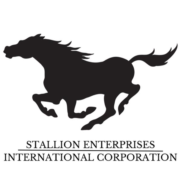 Stallion Enterprises International Corporation
