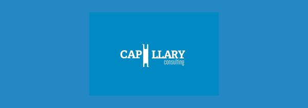 Capillary Consulting