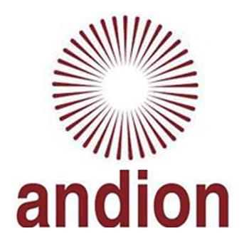 Andion