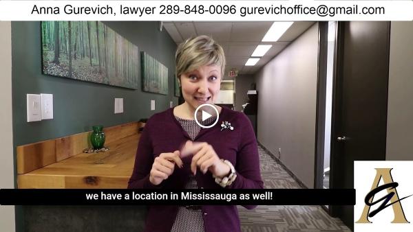 Anna Gurevich Business and Real Estate Lawyer