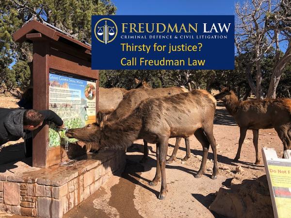 Freudman Law Professional Corporation