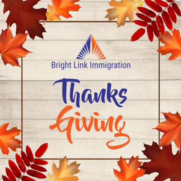 Bright Link Immigration Services