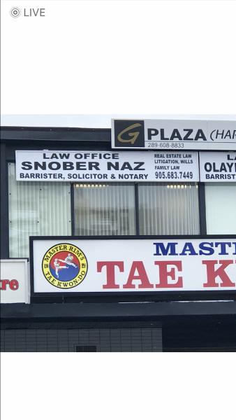 Law Office of Snober Naz