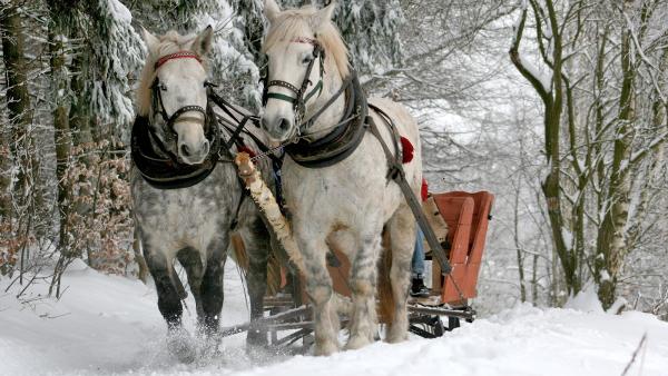 Gagnon Robitaille, CPA Inc.