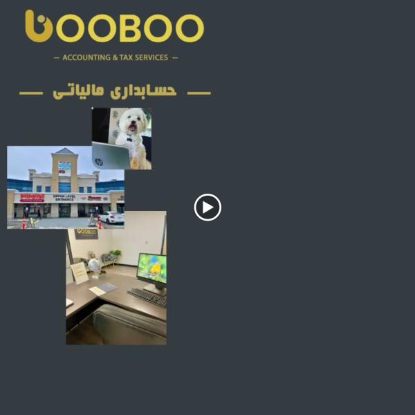 Booboo Accounting Services/حسابداری