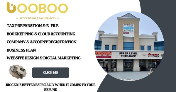Booboo Accounting Services/حسابداری