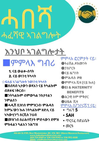 Habesha Multiservices and Business Solutions