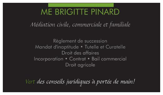 Brigitte Pinard, Avocate et Médiatrice