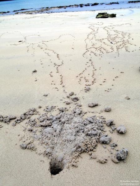 Brandon Hastings, Lawyer and Mediator