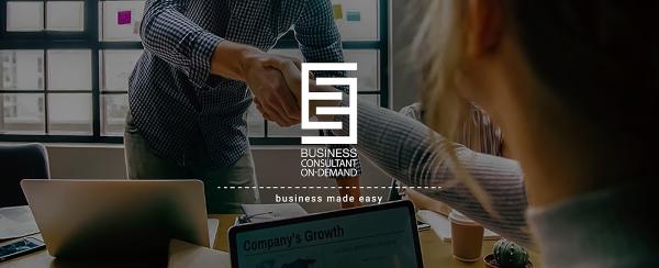 Business Consultant On-Demand