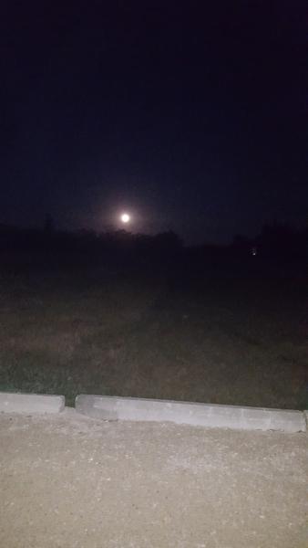 Canadian Ecotourism Services – CES