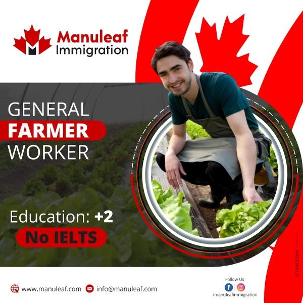 Manuleaf Immigration