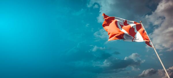 Ese Umoh Immigration and Consulting