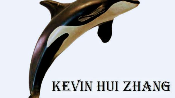 Kevin Hui Zhang, CPA