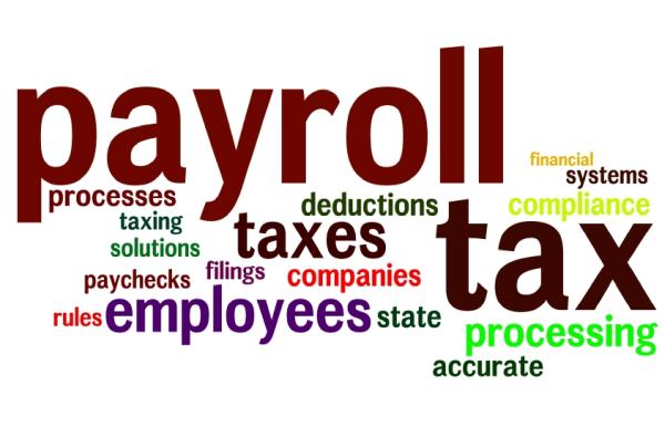 Accubiz Tax Services