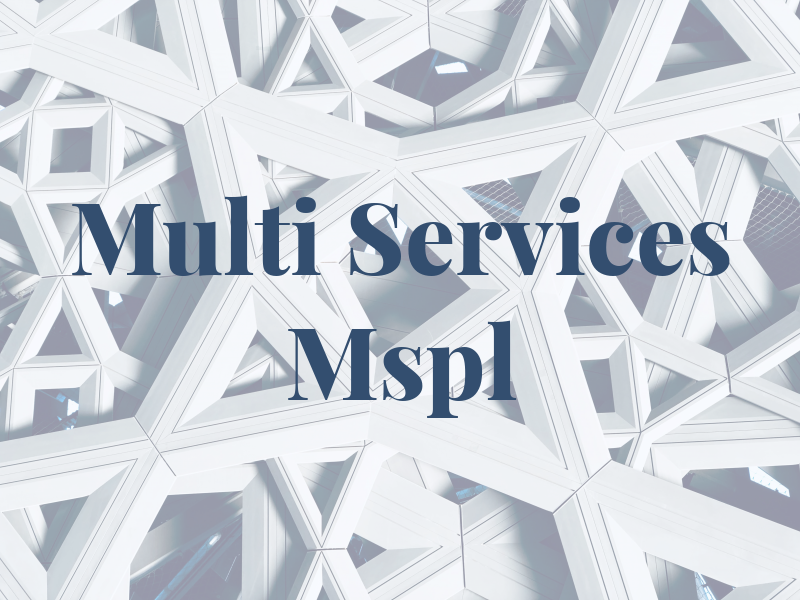 Multi Services Mspl