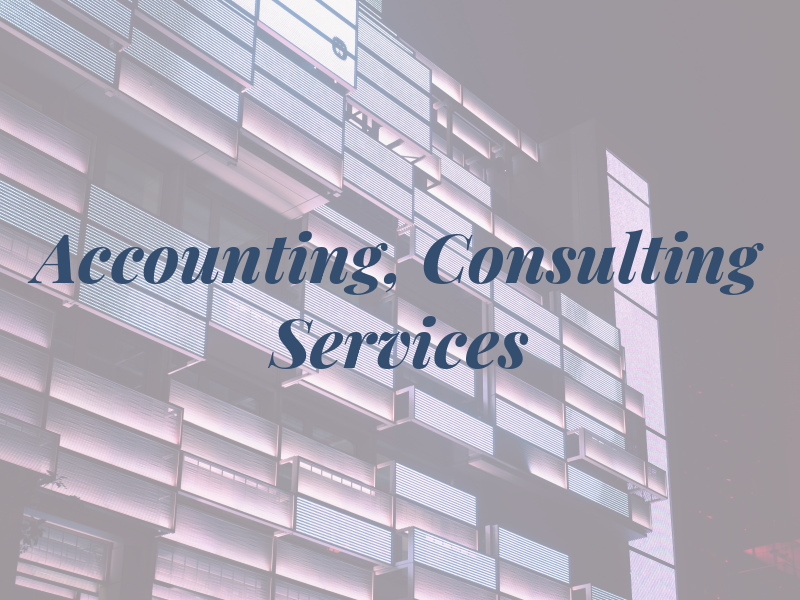 NRN Accounting, Consulting & Tax Services