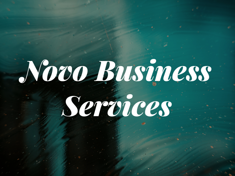 Novo Business Services