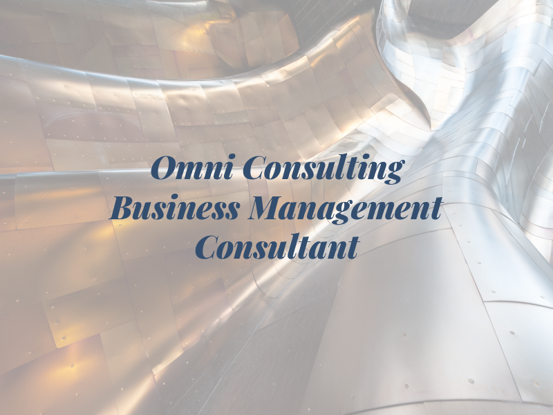 Omni Consulting - Business Management Consultant