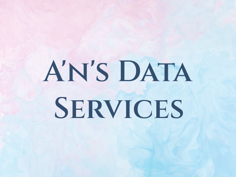 A'n's Data Services