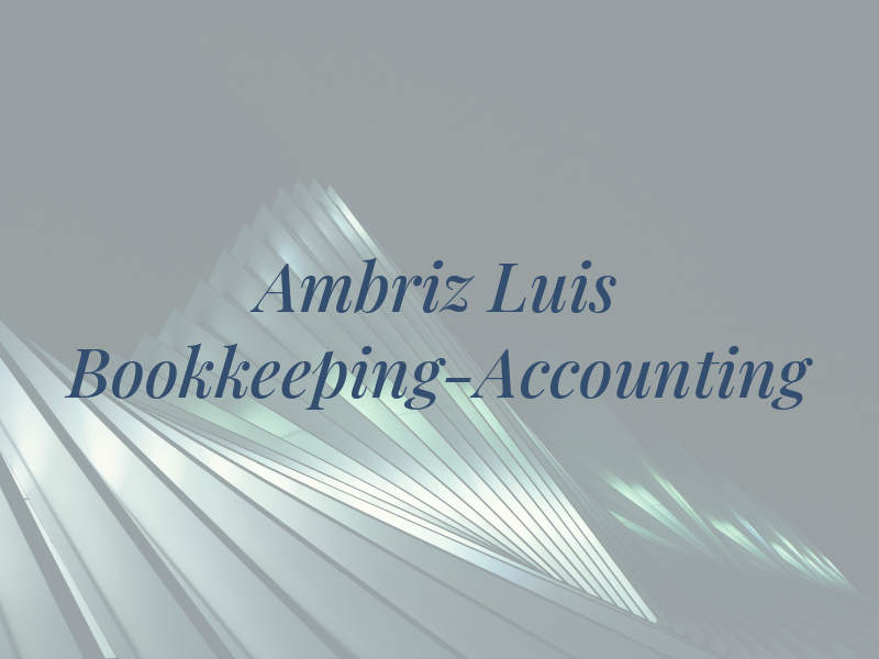Ambriz Luis Bookkeeping-Accounting