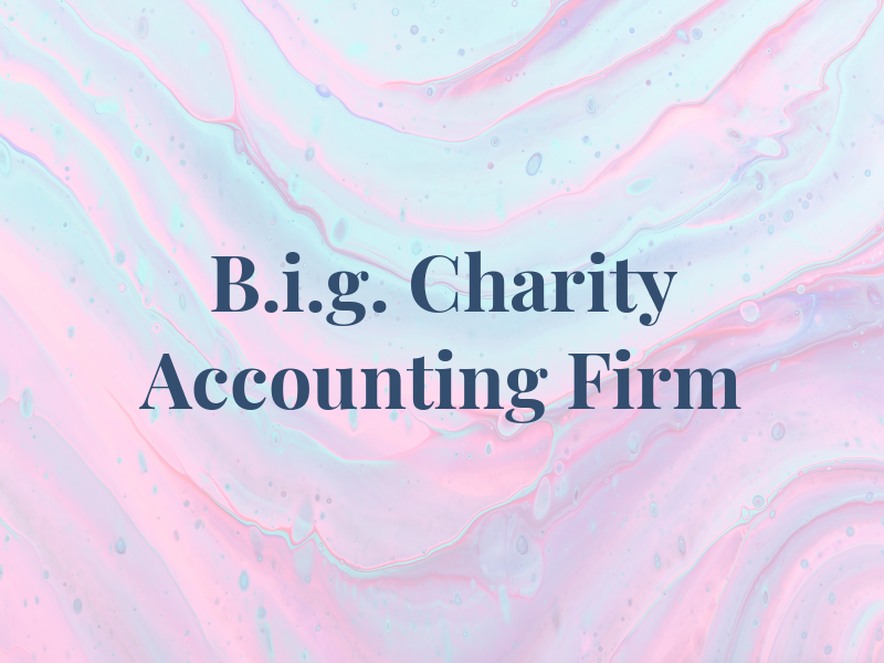 B.i.g. Charity Accounting Firm