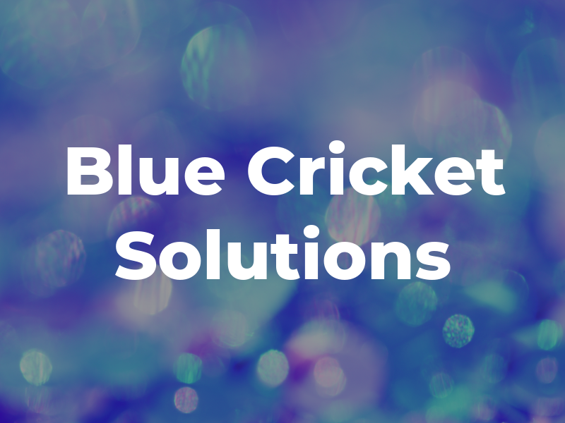 Blue Cricket Solutions