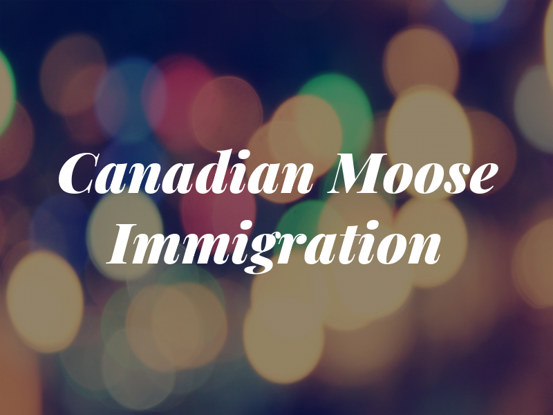 Canadian Moose Immigration