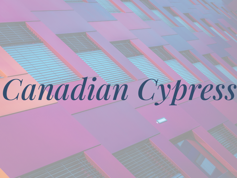 Canadian Cypress