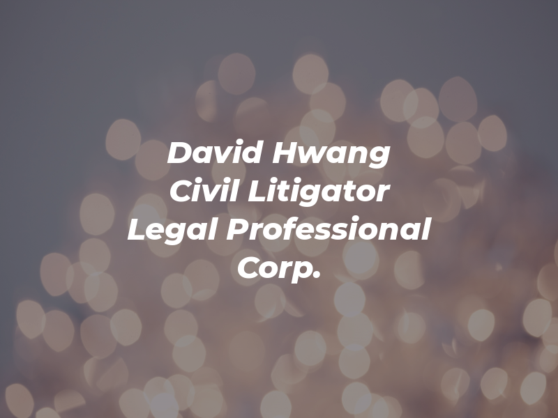 David Hwang Civil Litigator - DH Legal Professional Corp.