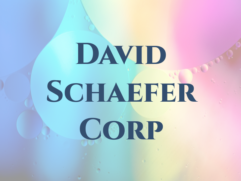 David L Schaefer Law Corp