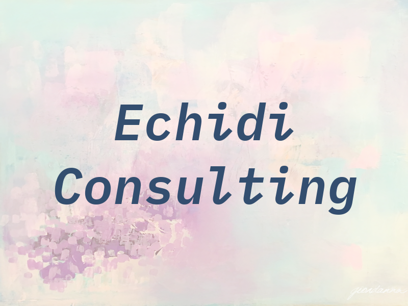Echidi Consulting