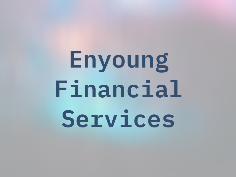 Enyoung Financial Services