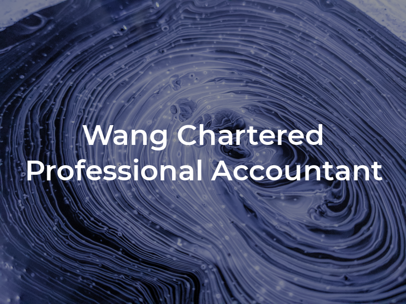 J. Wang Chartered Professional Accountant