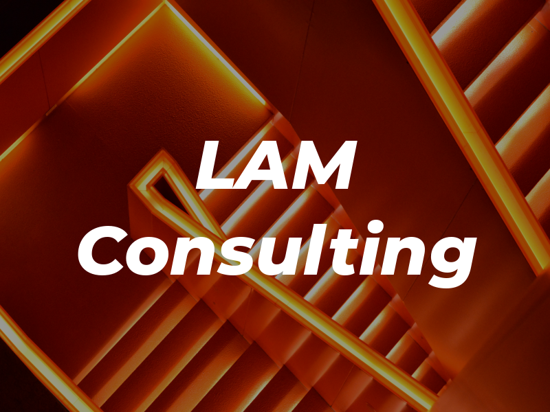 LAM Consulting